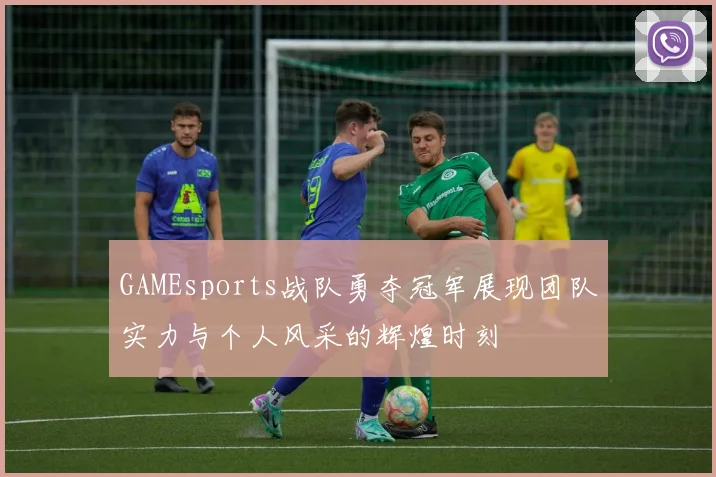 GAMEsports战队勇夺冠军展现团队实力与个人风采的辉煌时刻