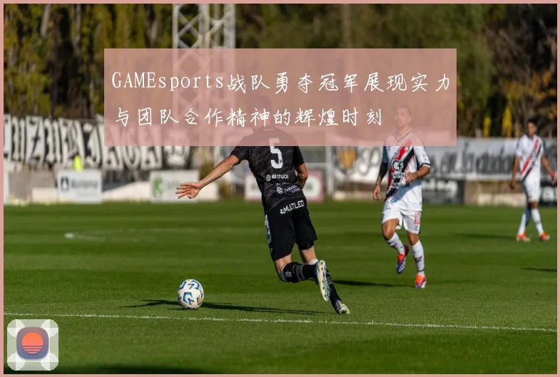 GAMEsports战队勇夺冠军展现实力与团队合作精神的辉煌时刻