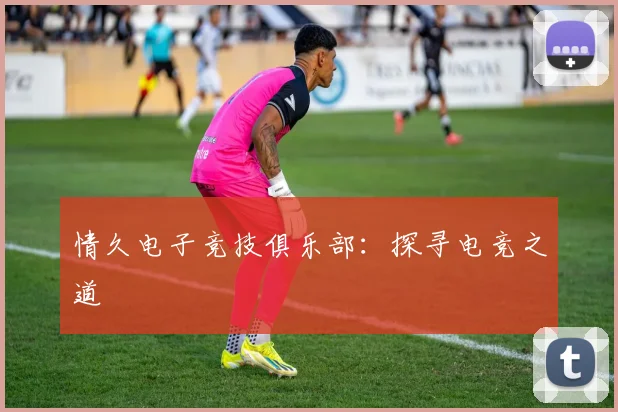 情久电子竞技俱乐部：探寻电竞之道