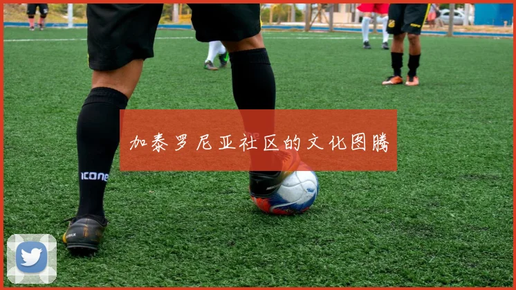 加泰罗尼亚社区的文化图腾