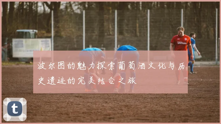 波尔图的魅力探索葡萄酒文化与历史遗迹的完美结合之旅