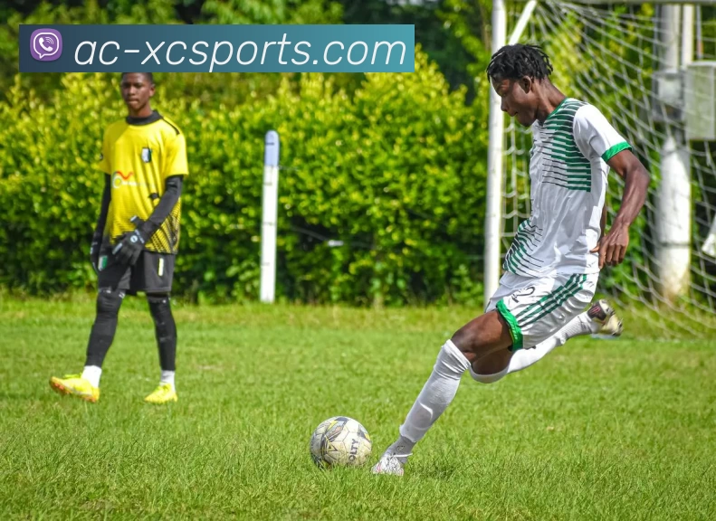 杏彩APP 体育赛事宣传图